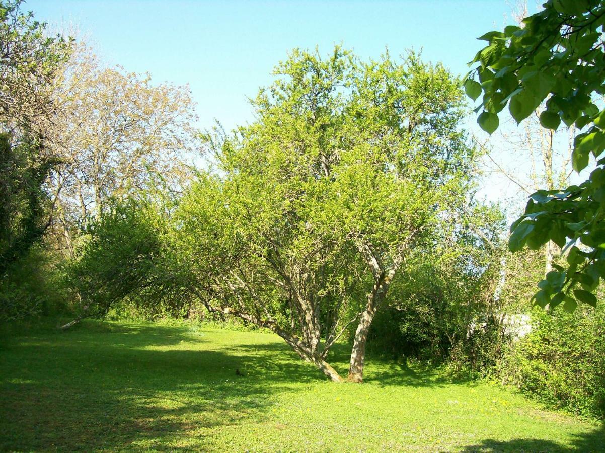 Chez Scallan B&B Sens sur Seille Екстериор снимка